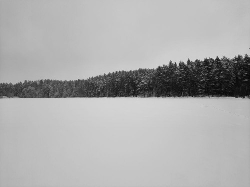 20210130_174413.jpg
