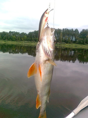 Изображение 677.jpg