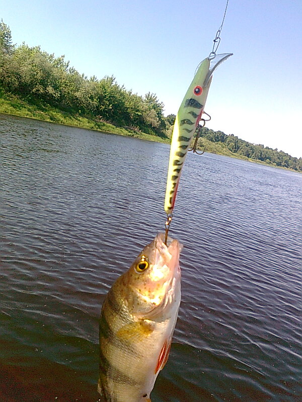 Изображение 1241.jpg