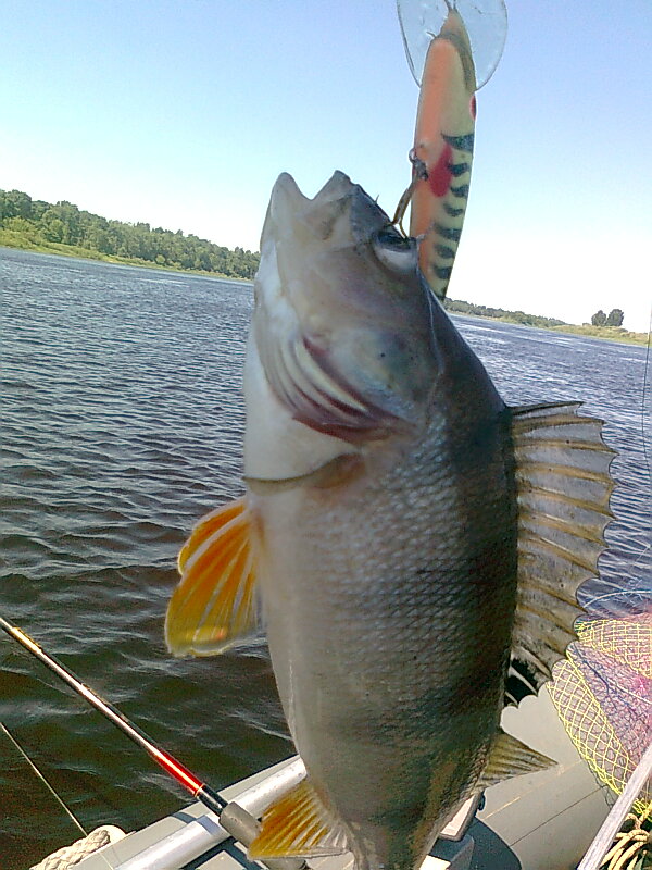 Изображение 1243.jpg