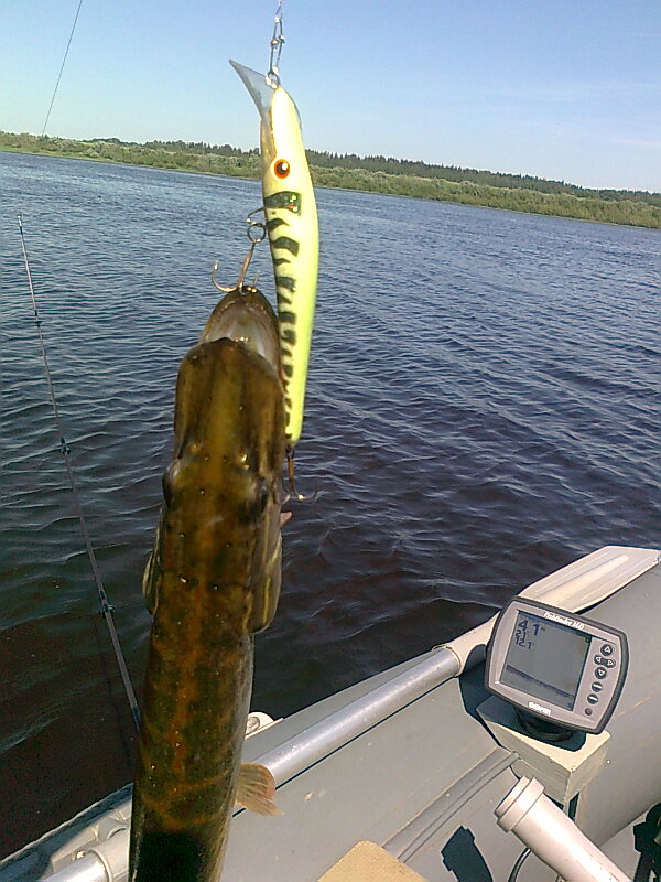 Изображение 1252.jpg