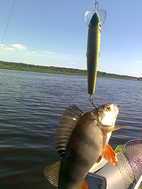 Изображение 1245.jpg