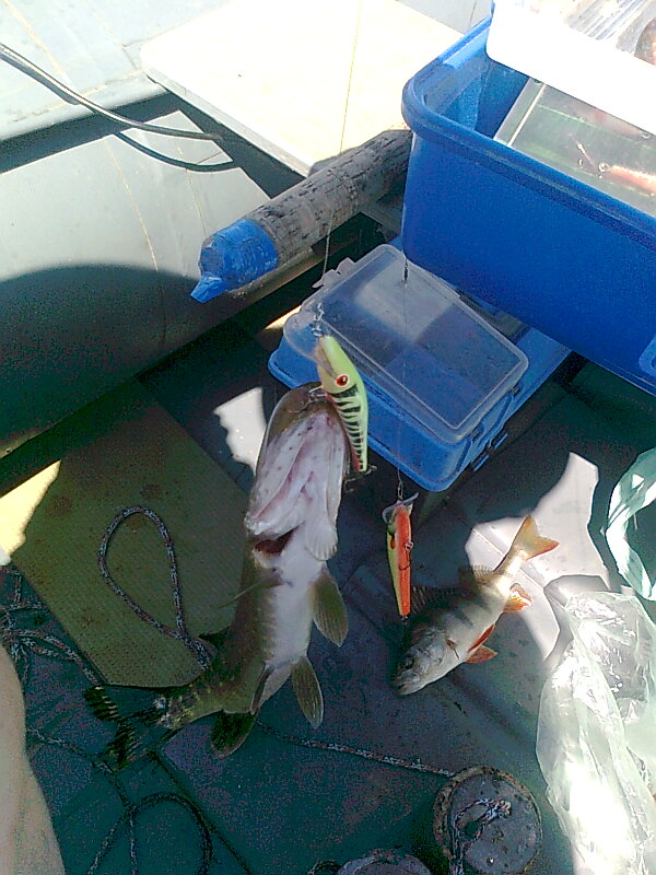 Изображение 1250.jpg