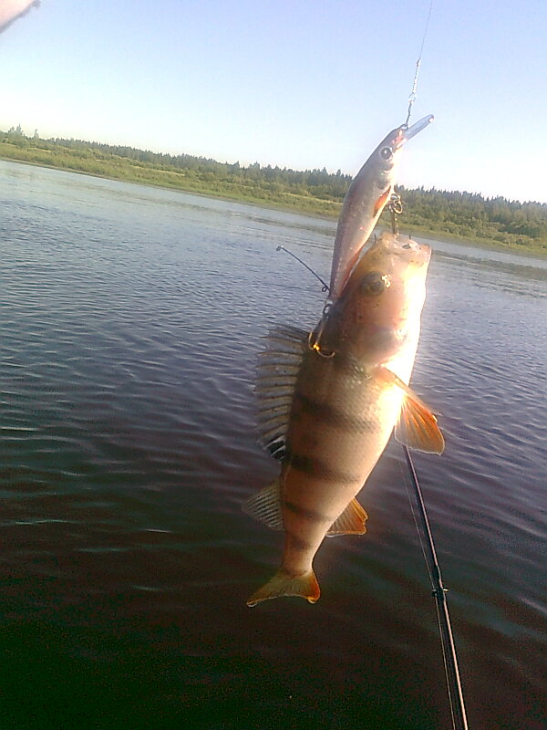 Изображение 1234.jpg