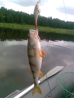 Изображение 679.jpg