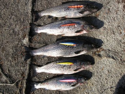 Изображение 231.jpg