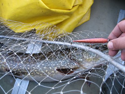 Изображение 195.jpg