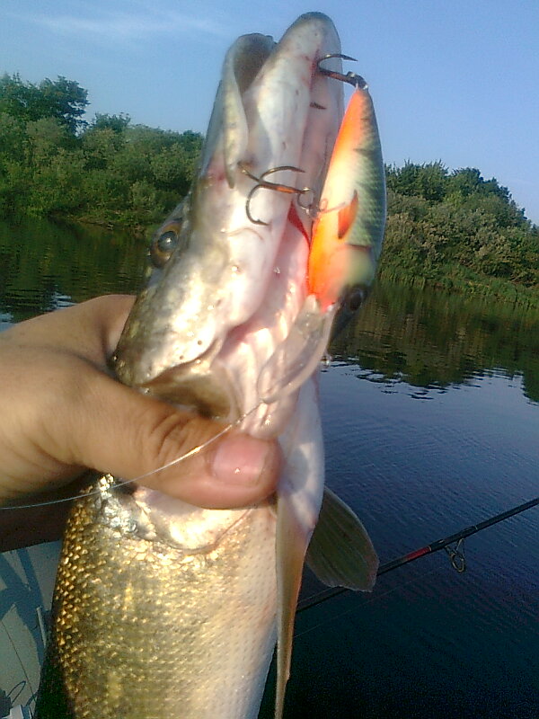 Изображение 1270.jpg