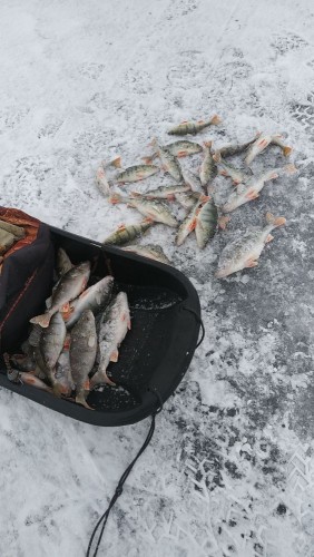 20220123_140959.jpg (118.22 КБ) 8004 просмотра В процессе