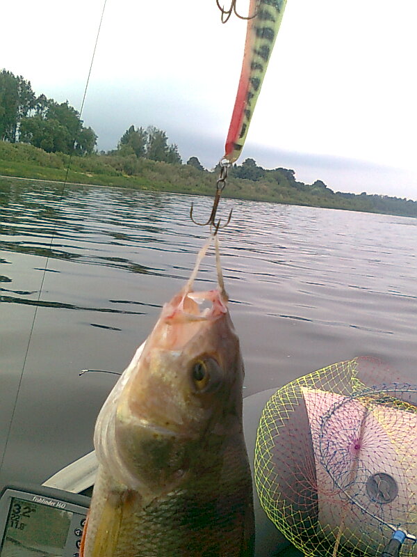 Изображение 1271.jpg