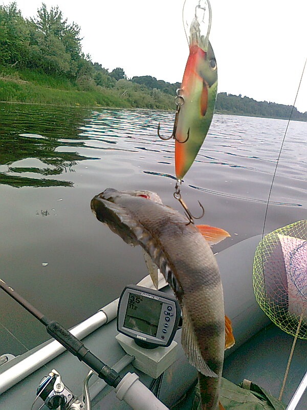 Изображение 1278.jpg