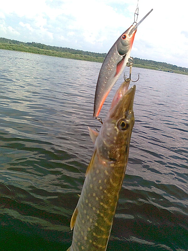 Изображение 1284.jpg