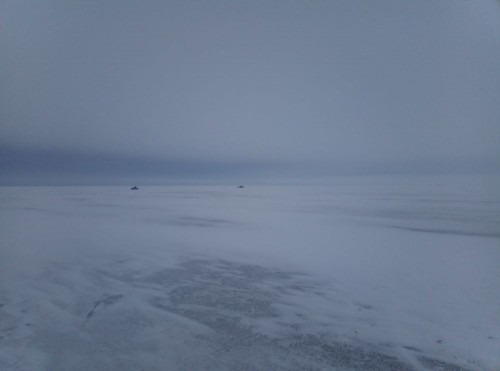 IMG_20220123_114531_1.jpg