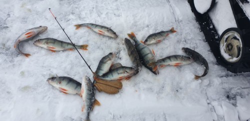 20220130_101339.jpg (66.06 КБ) 6470 просмотров 20220130_101339.jpg