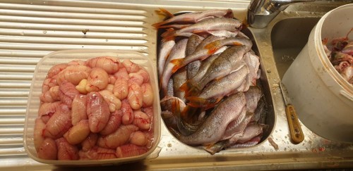 20220130_202109.jpg (91.04 КБ) 6470 просмотров 20220130_202109.jpg