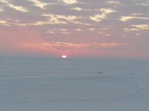 IMG_20220215_074846.jpg