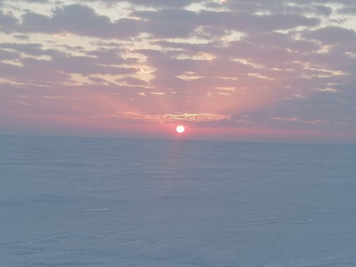 IMG_20220215_075533.jpg