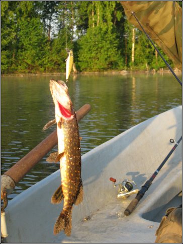 На "дорожку"