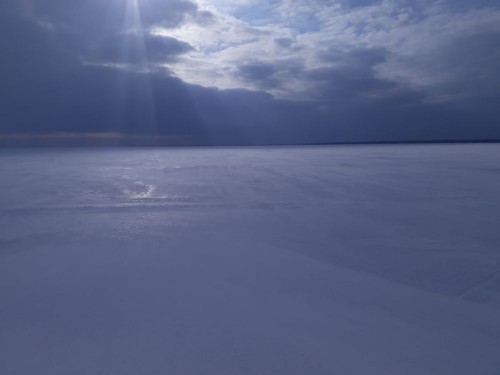 20220224_124154.jpg