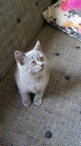 IMG-20160602-WA0006.jpg (78.82 КБ) 10887 просмотров была