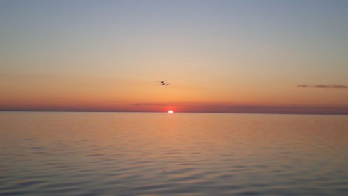 20220611_040335.jpg
