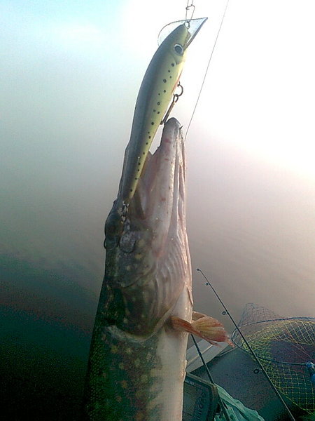 Изображение 1288.jpg