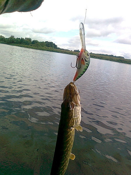 Изображение 1289.jpg