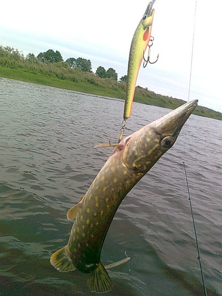 Изображение 1303.jpg