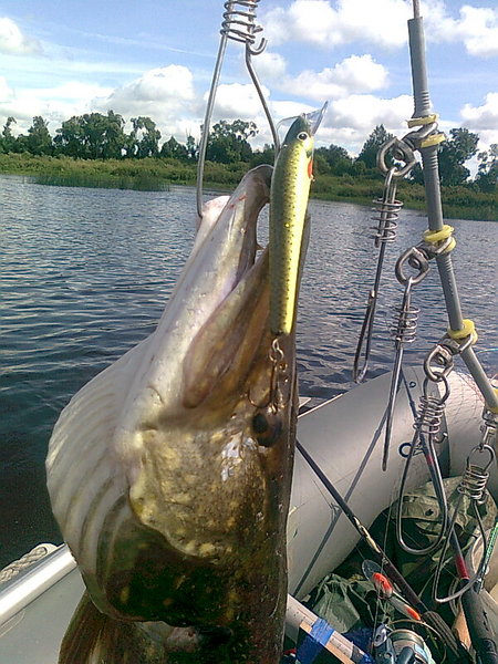 Изображение 1293.jpg