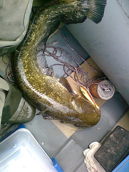 Изображение 1297.jpg