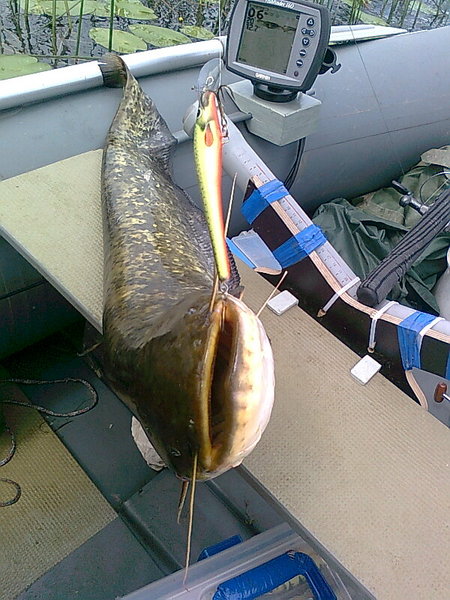 Изображение 1298.jpg