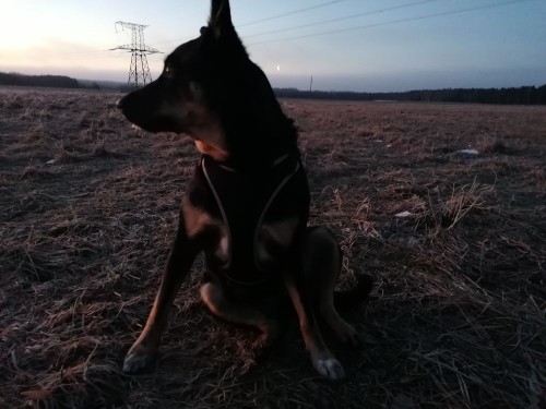 IMG_20230215_071731.jpg (98.69 КБ) 3976 просмотров Зима, ты где?