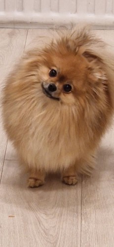 20230302_181835.jpg