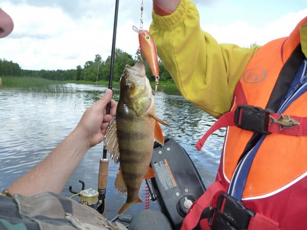 Видимо они начинают работать по тёплой воде. Спасибо всем, кто меня поддержал в этом вопросе!