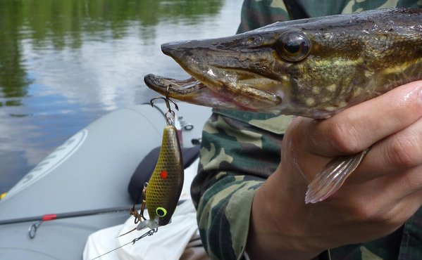 Эту счучку вытащил Сергей - напарник.