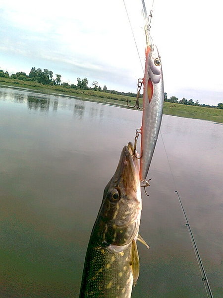 Изображение 1324.jpg