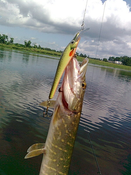 Изображение 1333.jpg