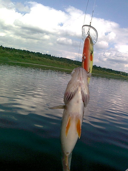 Изображение 1334.jpg