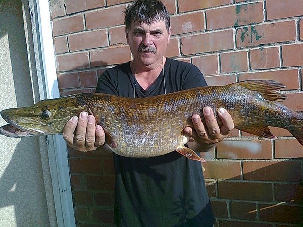 Изображение 1344.jpg