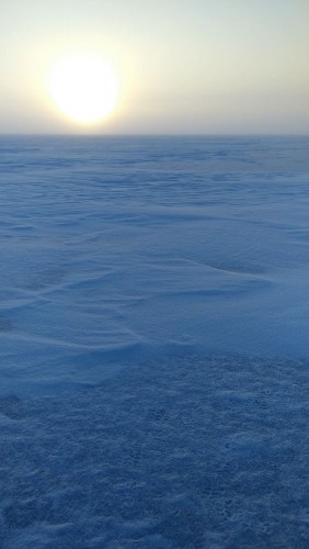 20240120_092627.jpg (60.43 КБ) 12198 просмотров Утром