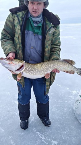 20240127_145120_HDR.jpg (95.8 КБ) 11104 просмотра Шестёра