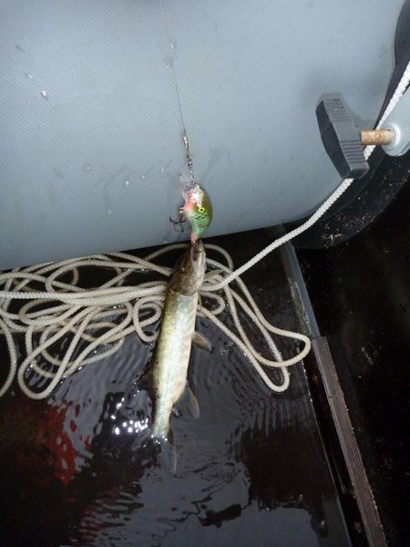 Из этой серии первый разловился.