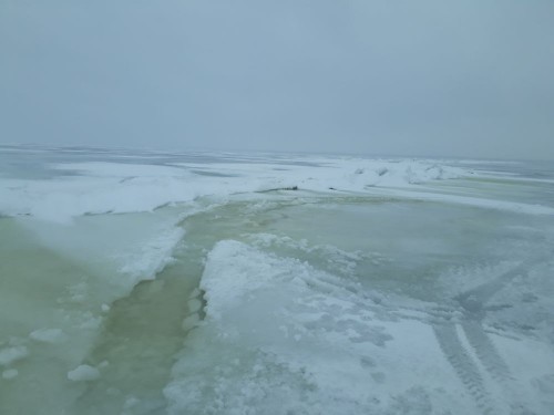 20240217_085418.jpg