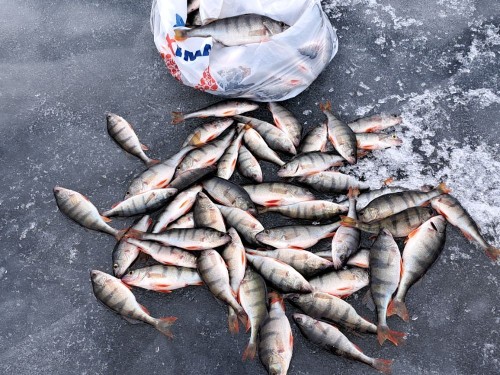 20240302_141631.jpg (206.6 КБ) 14496 просмотров Пакет-это Олега2.)