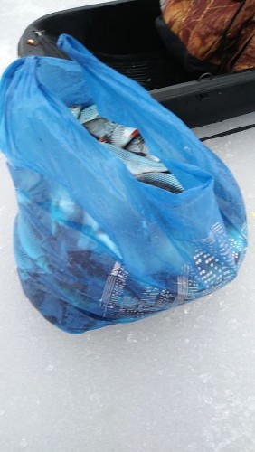 20240316_171628.jpg (72.57 КБ) 13042 просмотра Мой улов