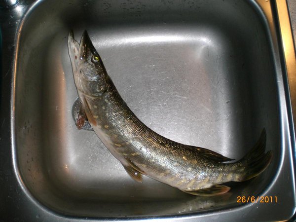 а тут видно - 50 см, а если по диагонали - то 52 (у нас миним. размер - 50)