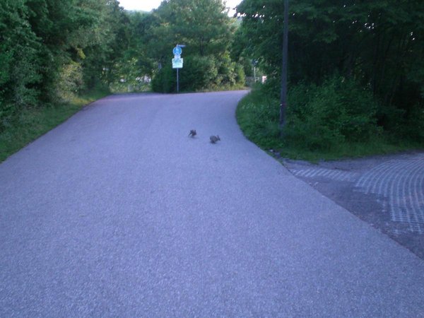 и зто в центре города