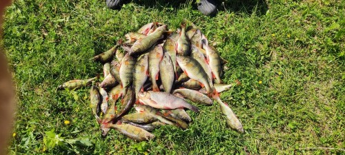 IMG_20240608_124336[1].jpg