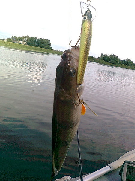 Изображение 1345.jpg