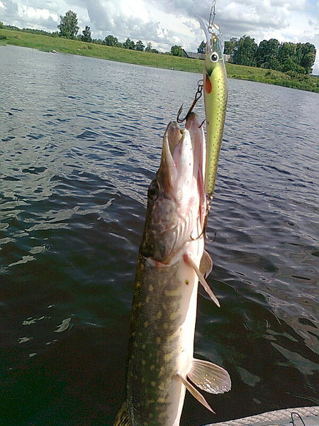 Изображение 1353.jpg